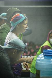 BIB: 
                            <button type="button" onclick="openModal(22310368)" class="btn btn-primary btn-sm float-right btn-popup" data-toggle="modal" data-target=".modal-high-quality">
                        <i class="fas fa-shopping-cart"></i> Add to Cart
                    </button>
                                            <button type="button" onclick="isThisMe(22310368, true)" class="btn btn-success btn-sm float-right btn-popup btn-isme hidden" data-toggle="tooltip" data-placement="bottom" title="นี่คือรูปของคุณใช่ไหม คลิกที่นี่เพื่อเอาเข้าอัลบั้ม">
                        <i class="fas fa-plus"></i> Add to album
                    </button>
                    <button type="button" onclick="isThisMe(22310368, false)" class="btn btn-warning btn-sm float-right btn-popup btn-isnotme hidden">
                        <i class="fas fa-ban"></i> Remove from album
                    </button>